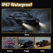 OKSIWA Fog Lights Assembly Compatible with 1999-2004 Ford Mustang, Bumper Driving Fog lamp Assembly Replacement (Halogen Fog Lights)