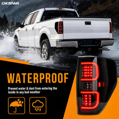 LED Tail Lights for 2009-2014 Ford F-150-6